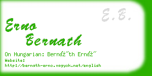 erno bernath business card